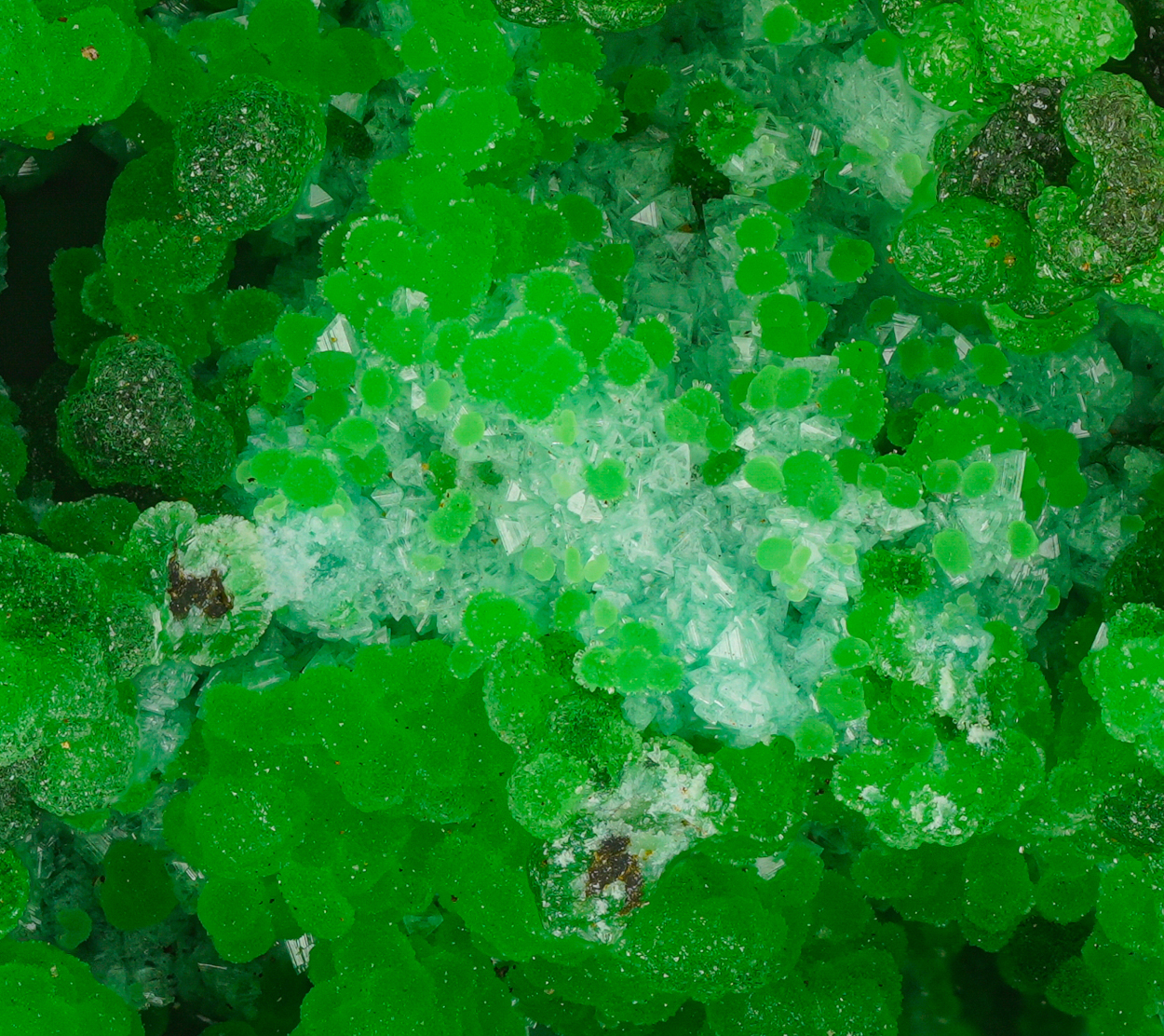 Conichalcite Adamite & Olivenite