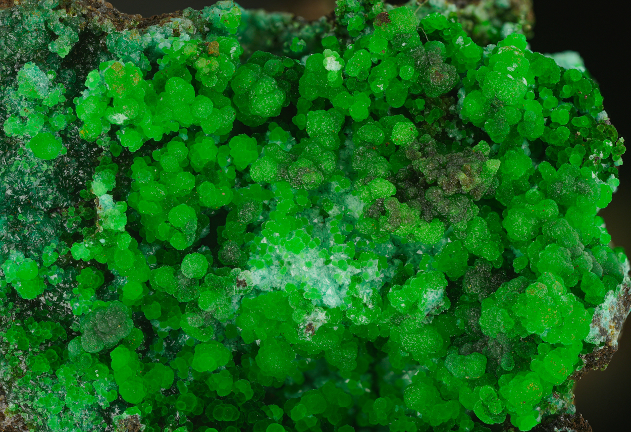 Conichalcite Adamite & Olivenite