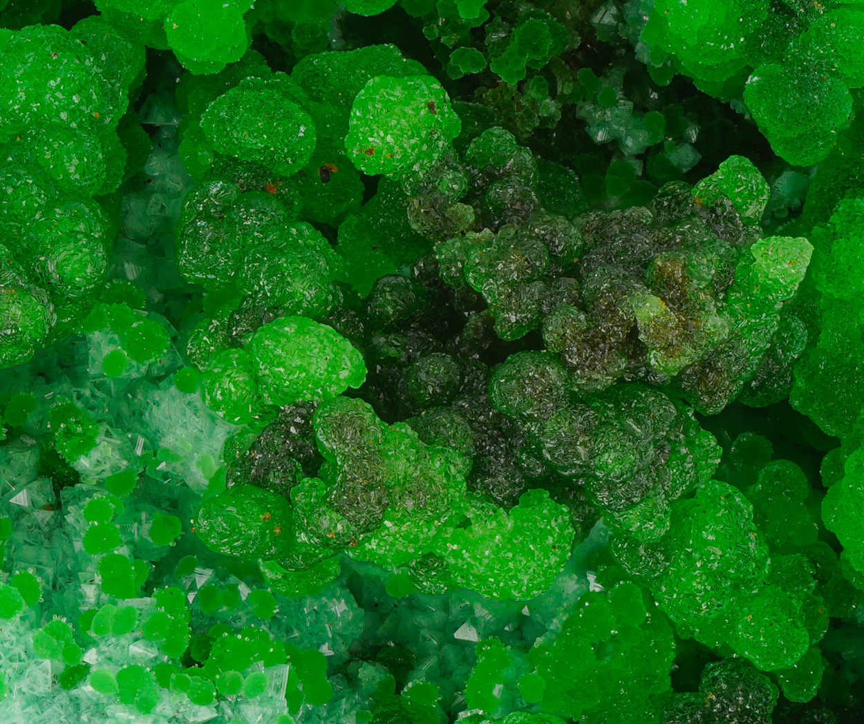 Conichalcite Adamite & Olivenite