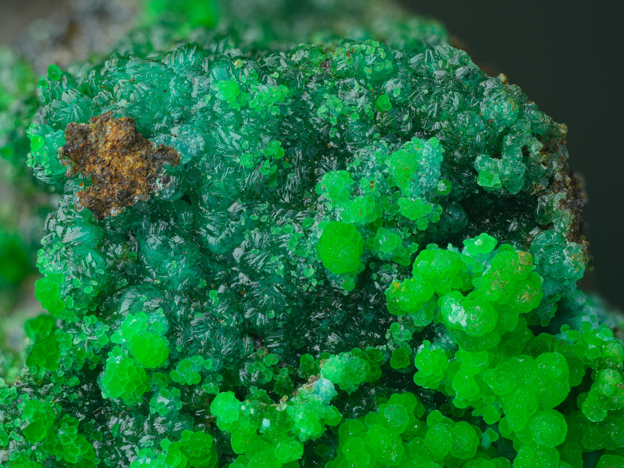 Conichalcite Adamite & Olivenite