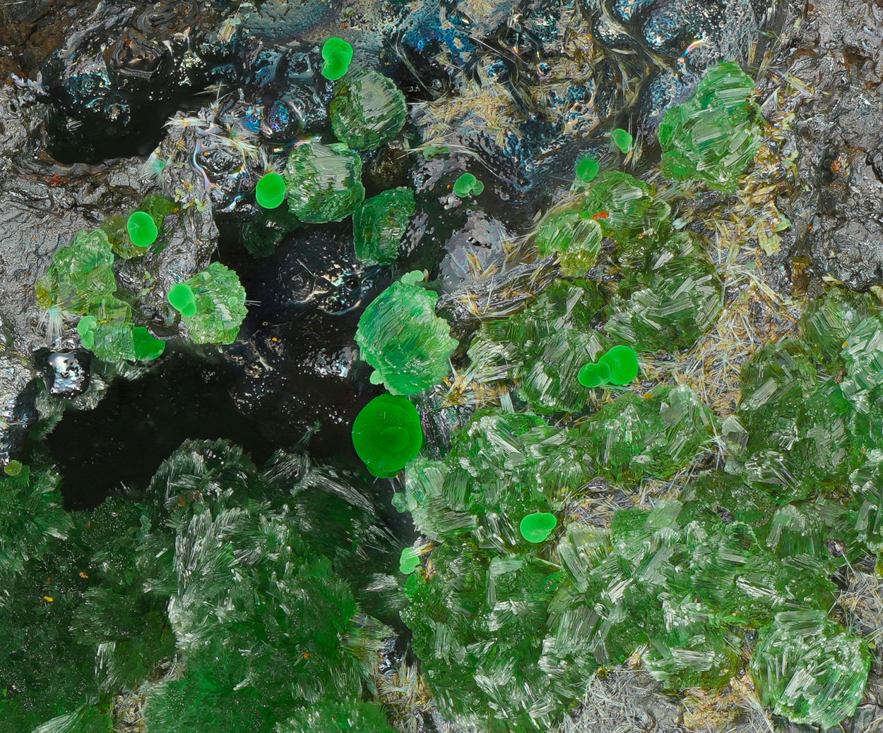Conichalcite Adamite & Olivenite