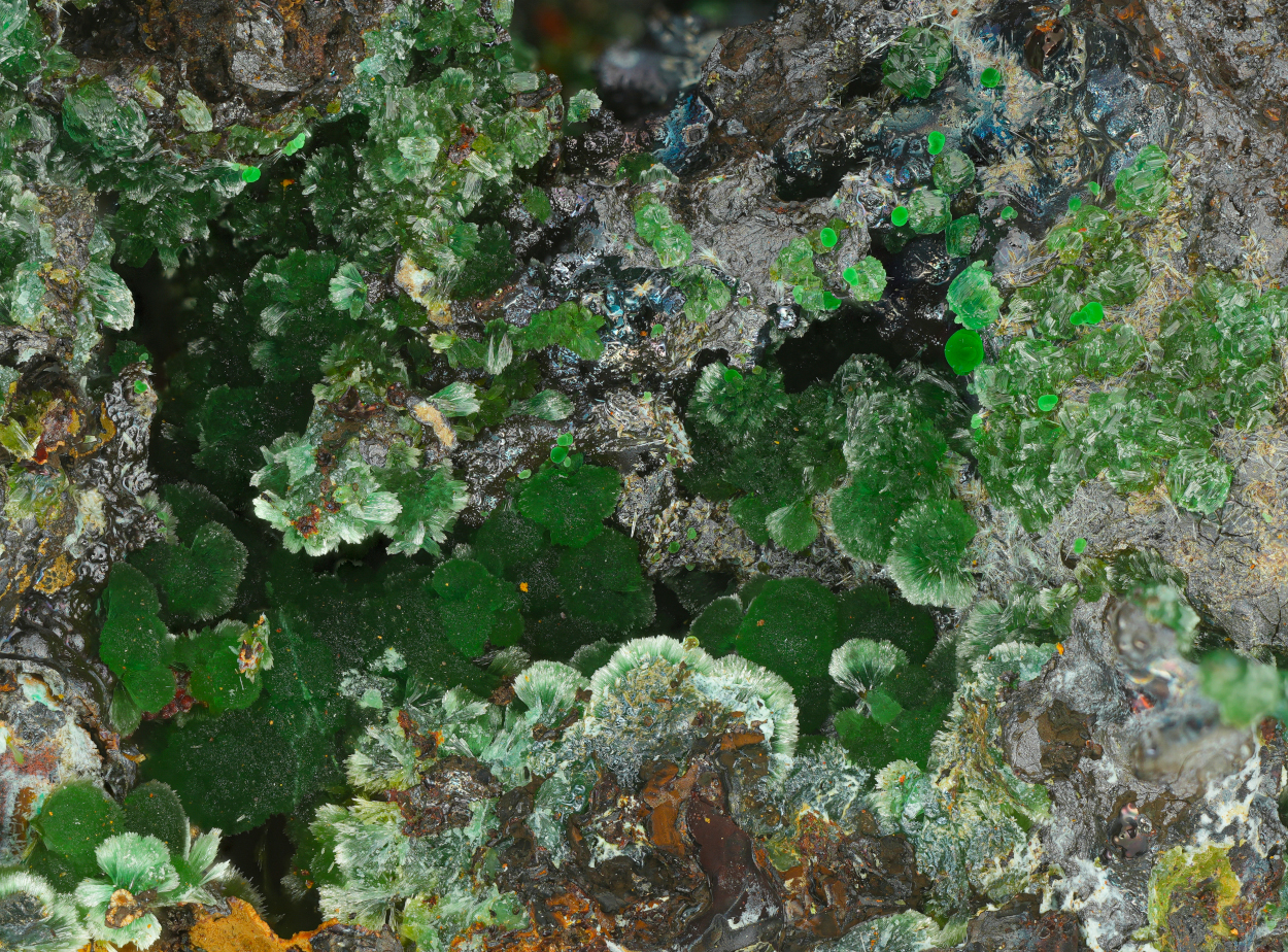 Conichalcite Adamite & Olivenite