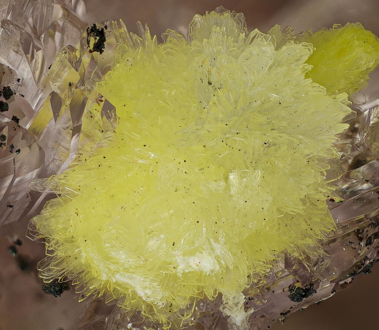 Carlhintzeite & Creedite