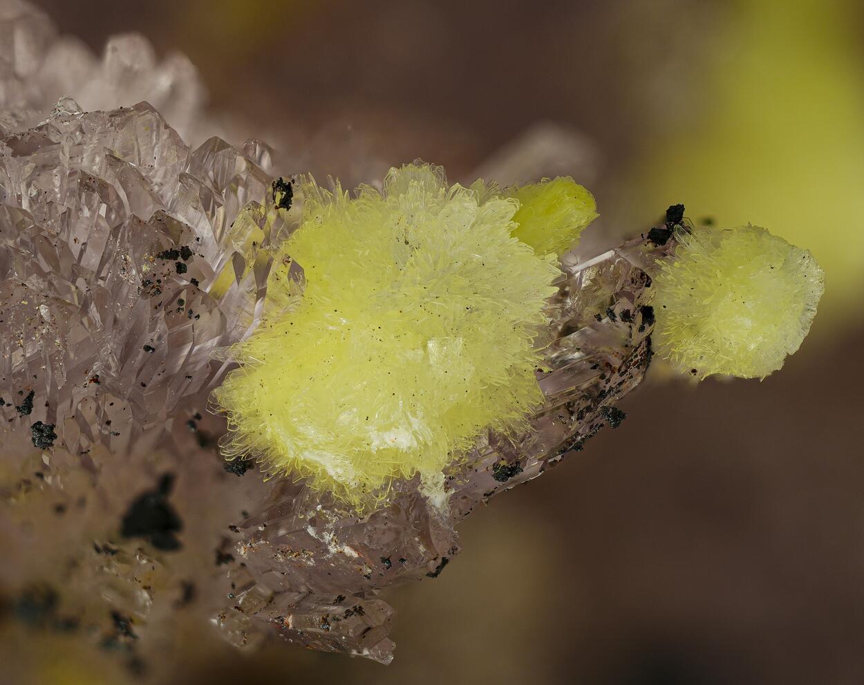 Carlhintzeite & Creedite