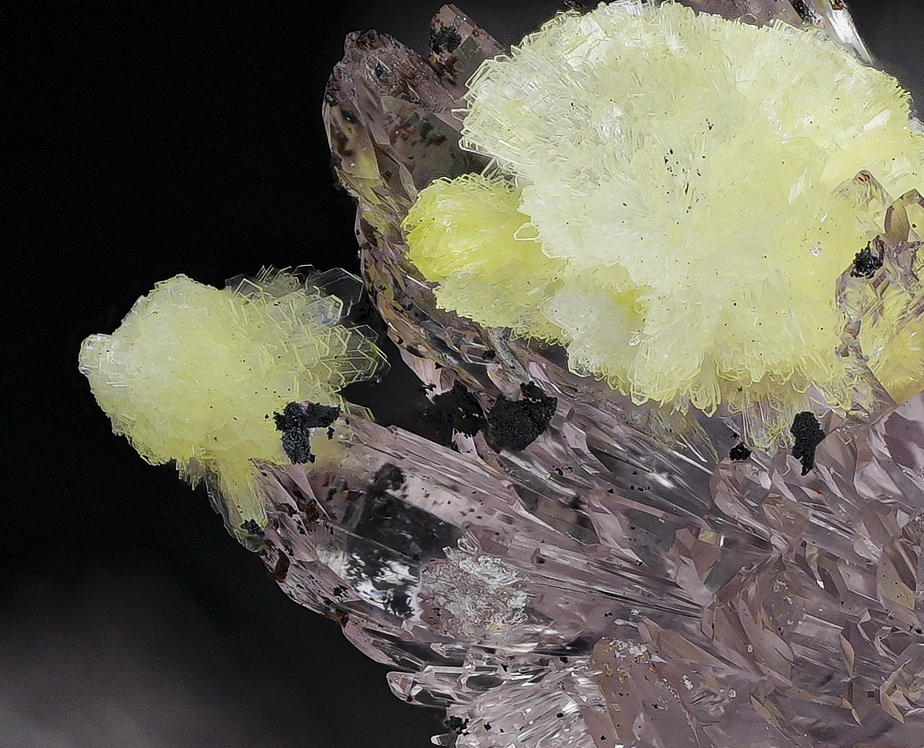 Carlhintzeite & Creedite