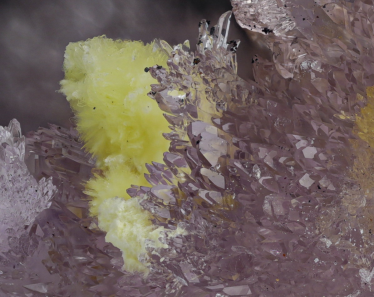 Carlhintzeite & Creedite