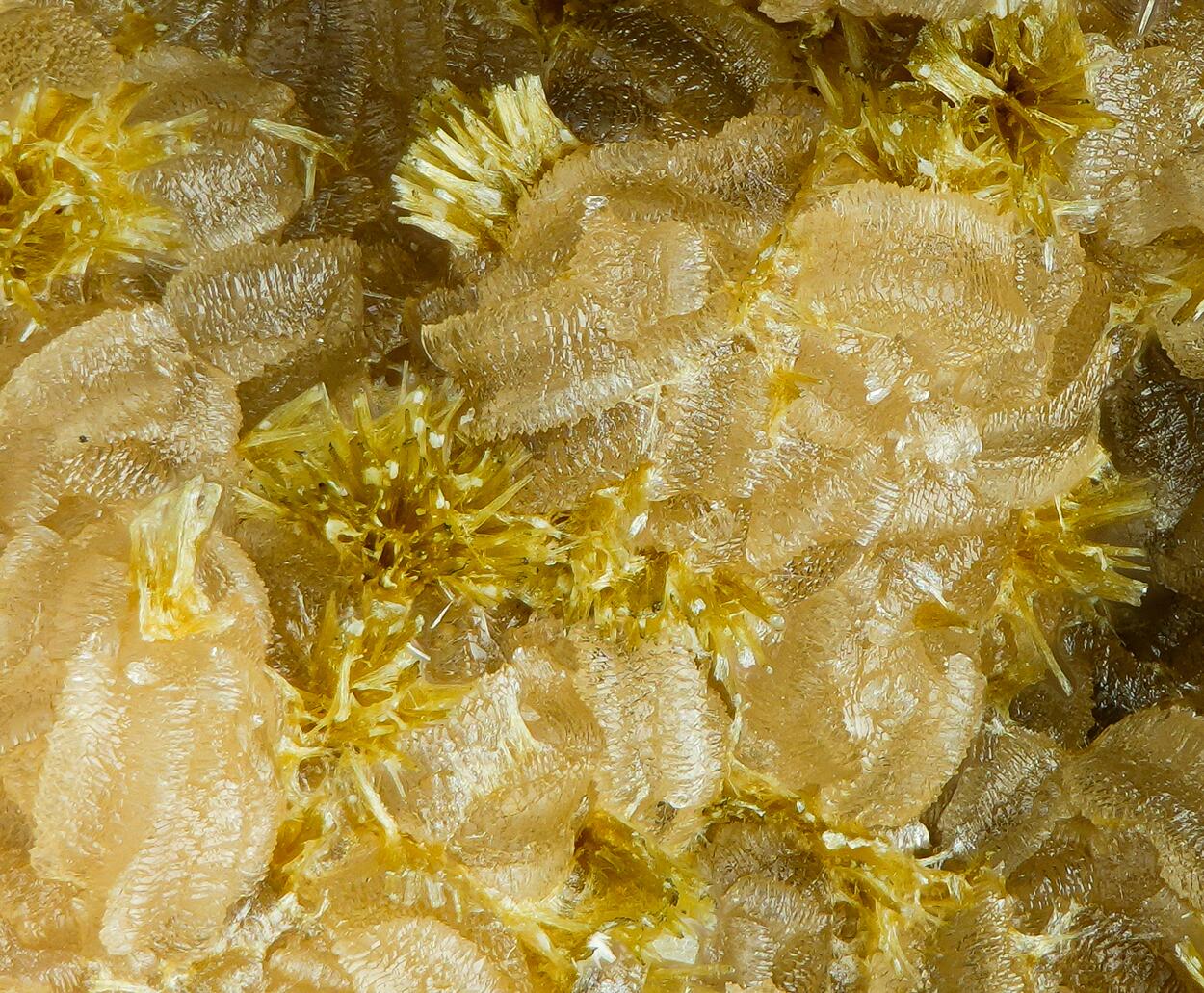 Meurigite-K & Siderite