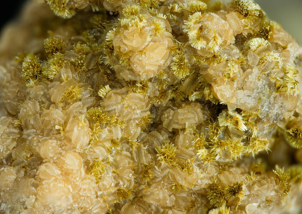 Meurigite-K & Siderite