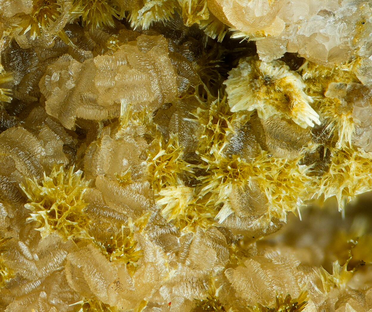 Meurigite-K & Siderite