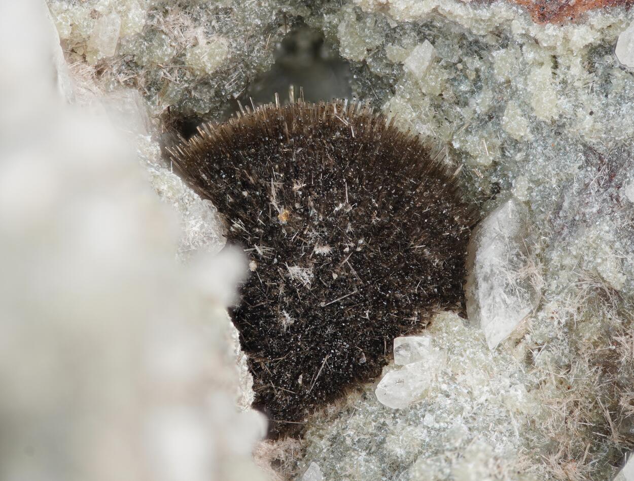 Allanite-(Ce) & Epidote