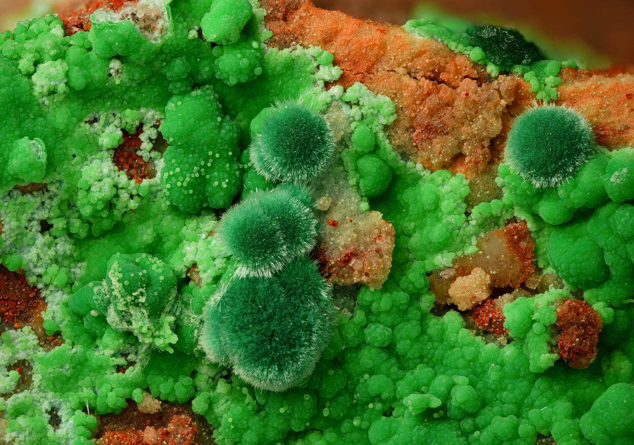 Goldhillite Malachite & Conichalcite