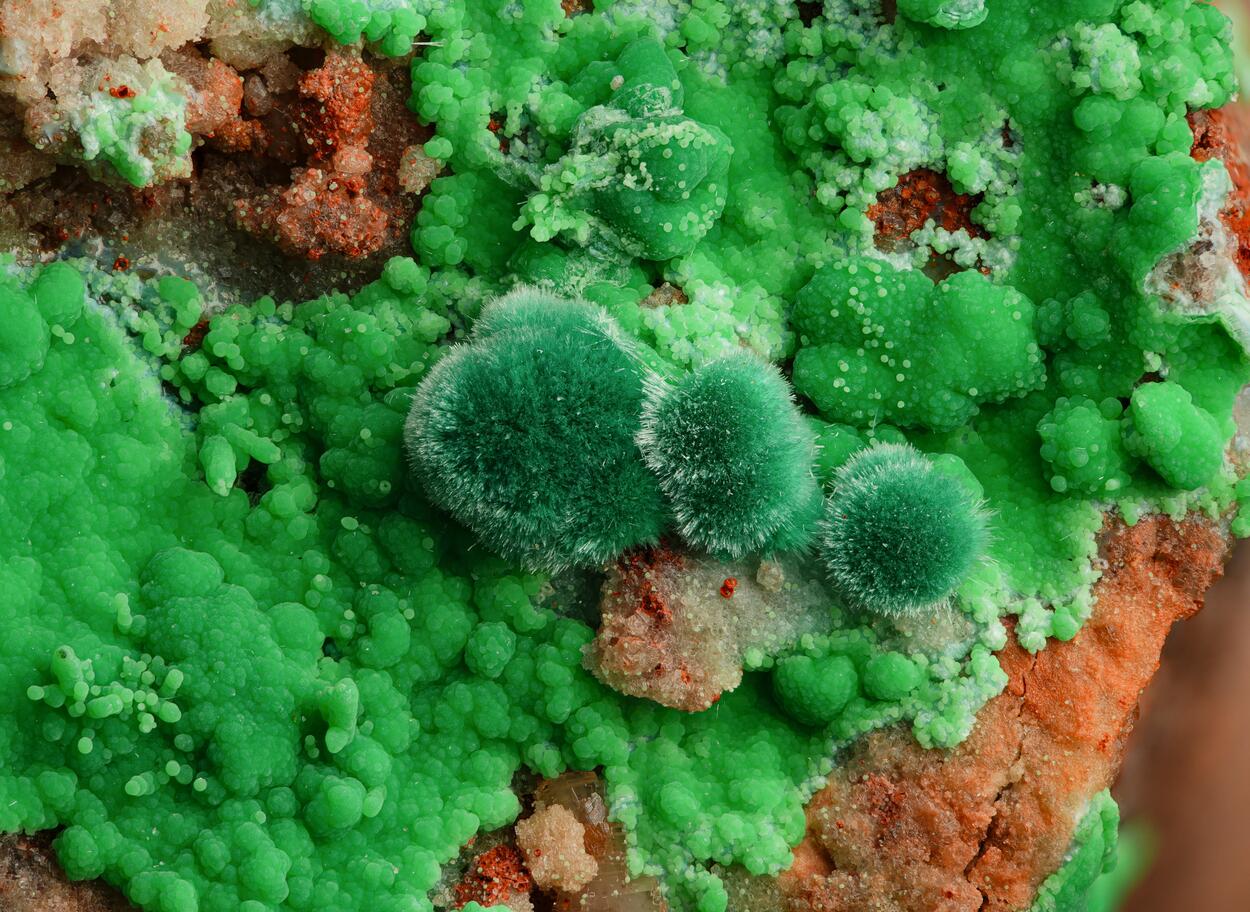 Goldhillite Malachite & Conichalcite