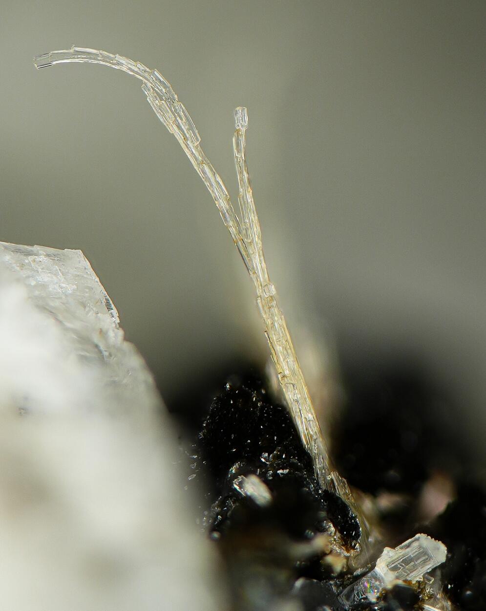 Wöhlerite & Madeiraite