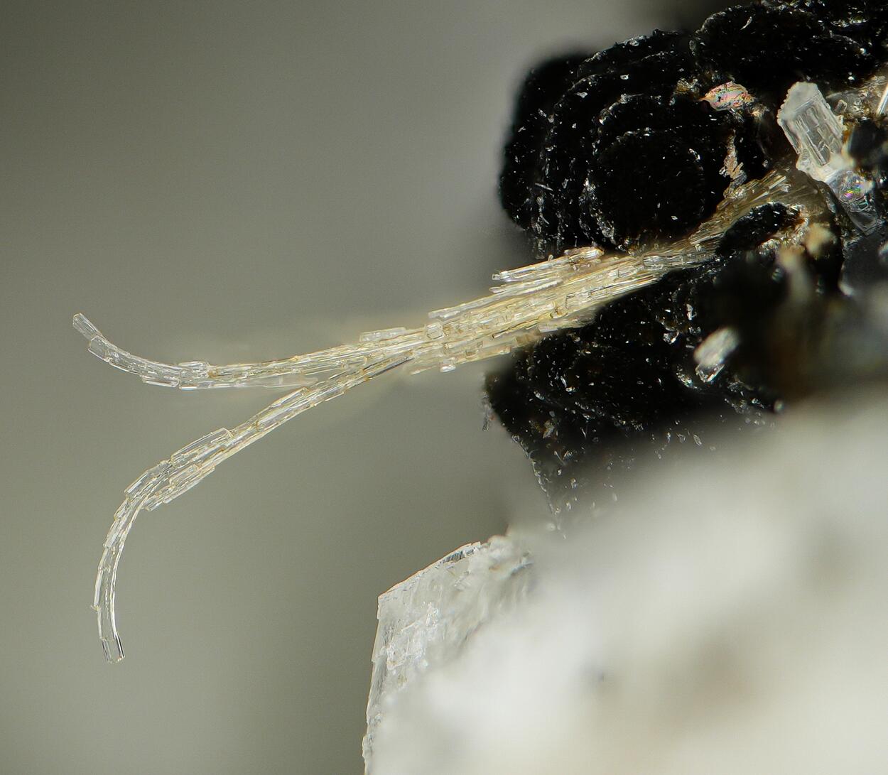 Wöhlerite & Madeiraite