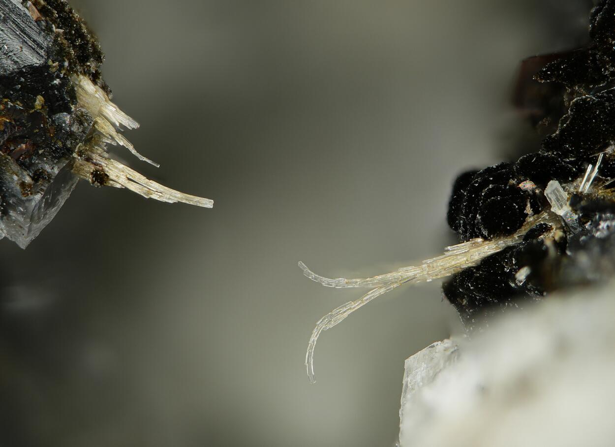 Wöhlerite & Madeiraite