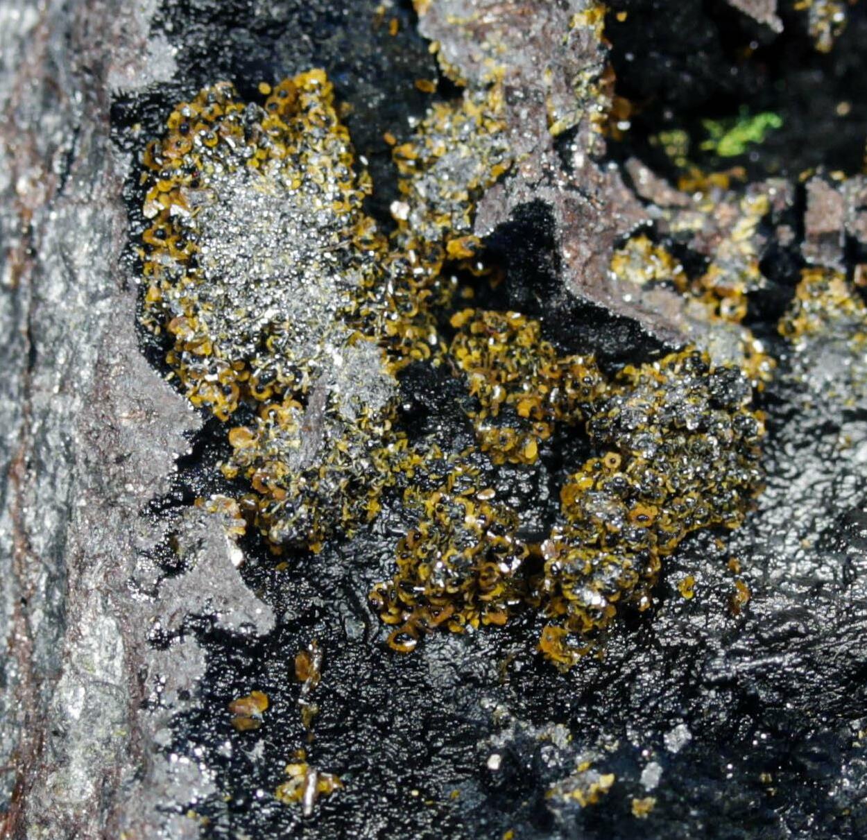 Jarosite Goethite