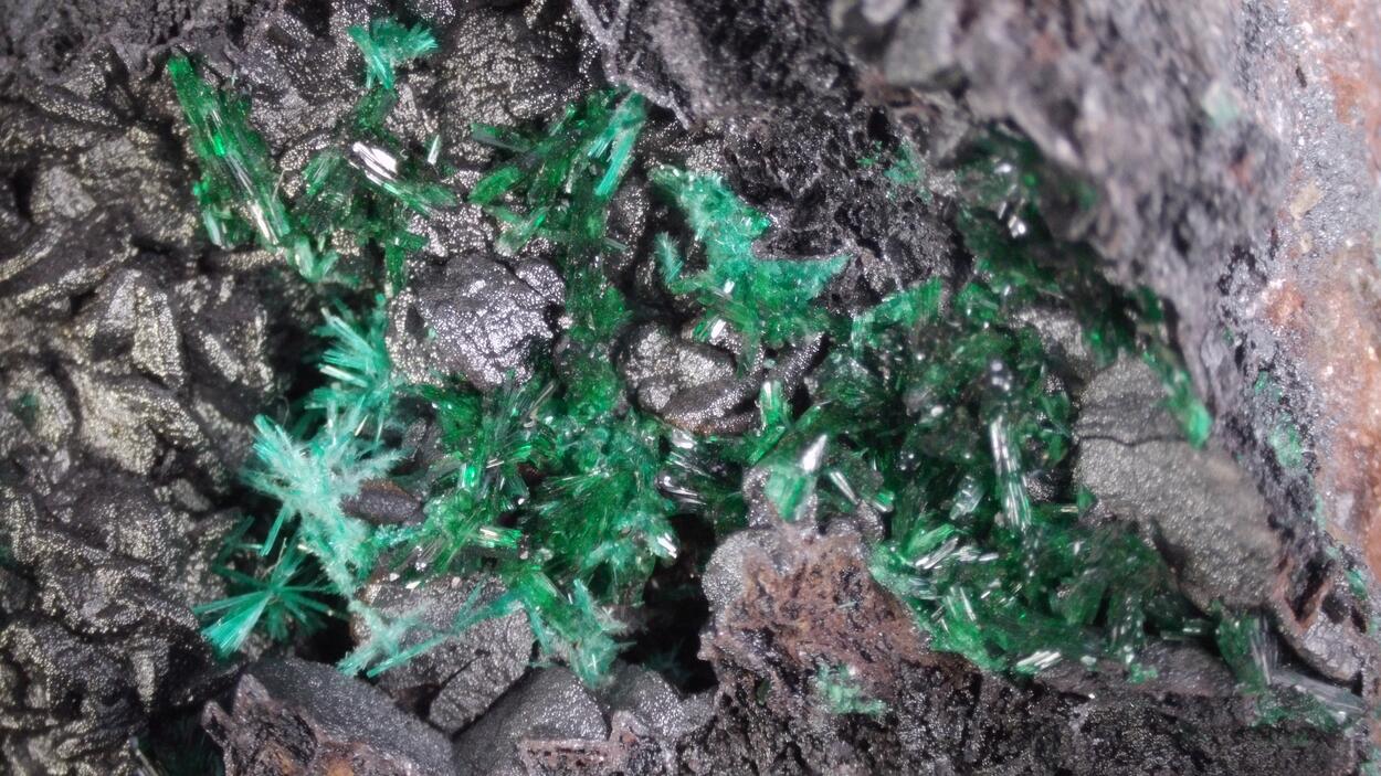Brochantite & Atacamite