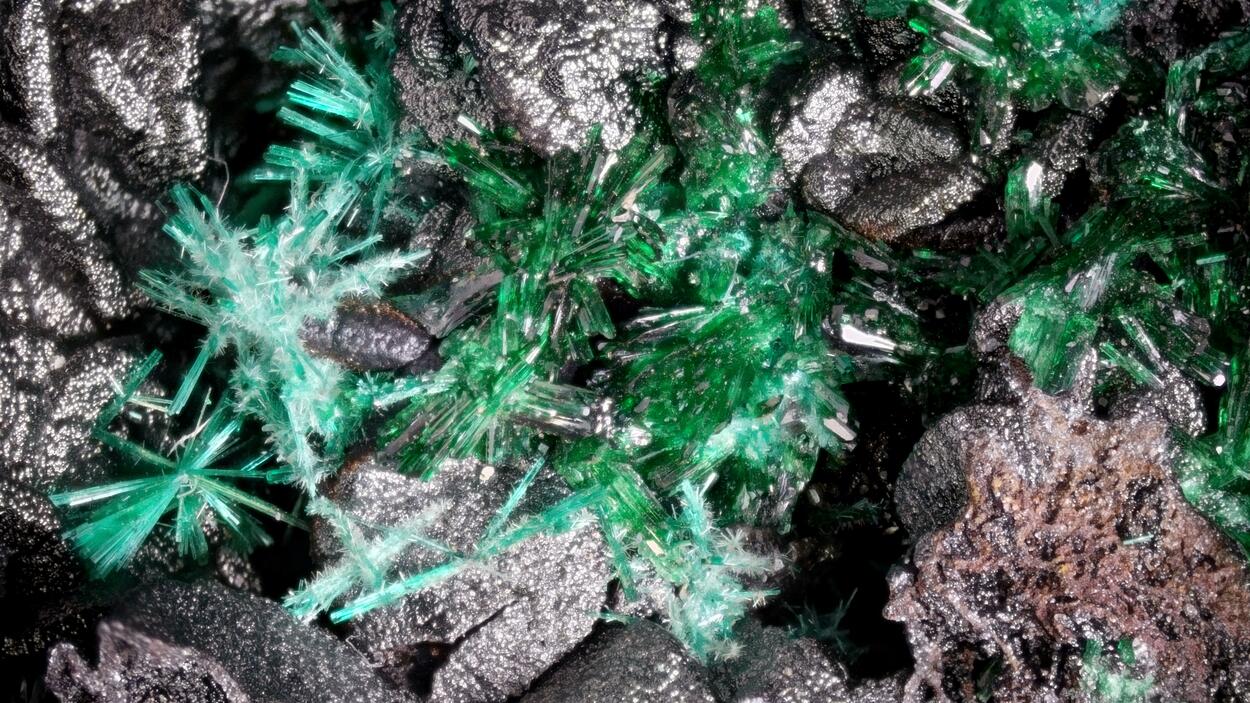 Brochantite & Atacamite