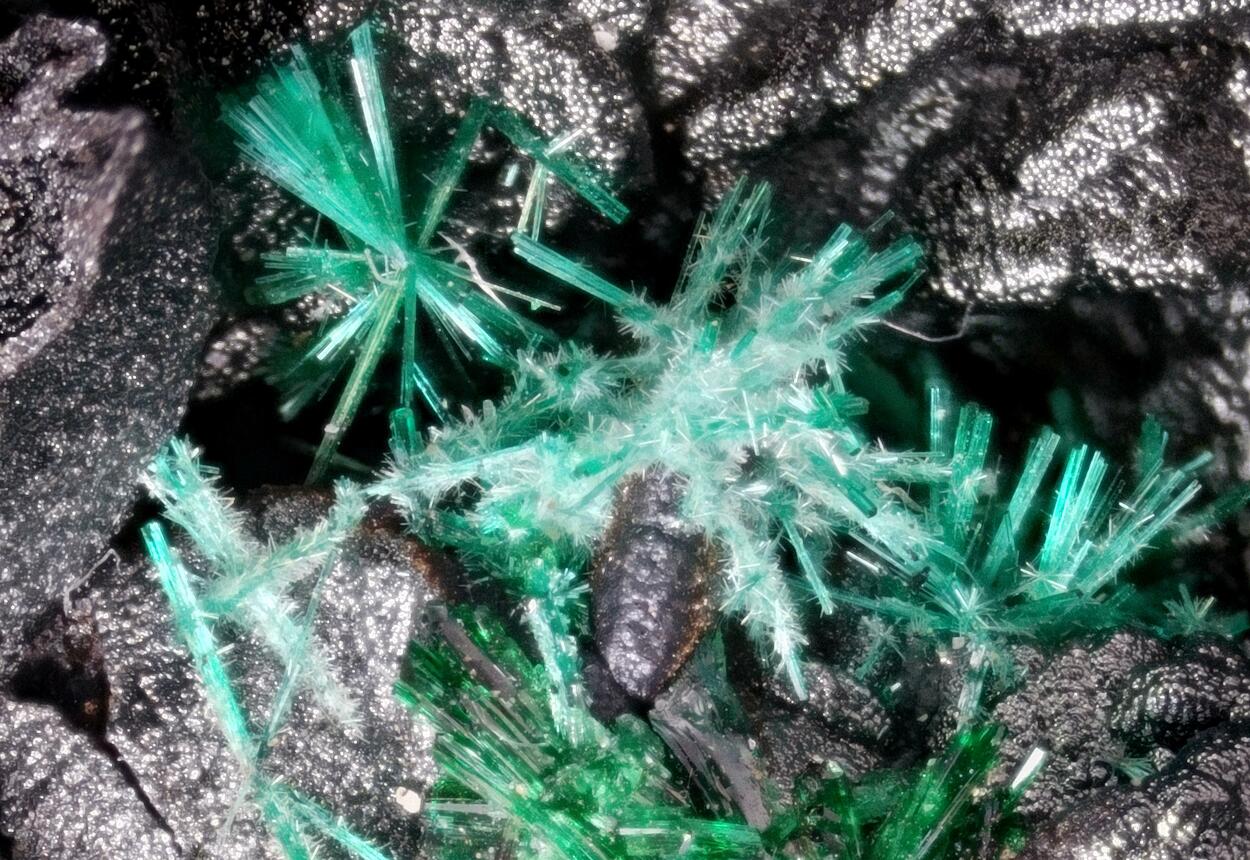 Brochantite & Atacamite