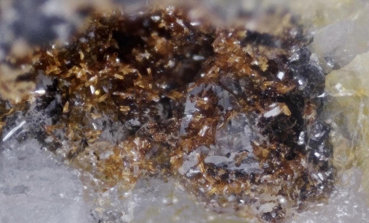 Cobaltlotharmeyerite