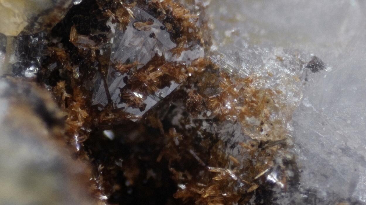 Cobaltlotharmeyerite