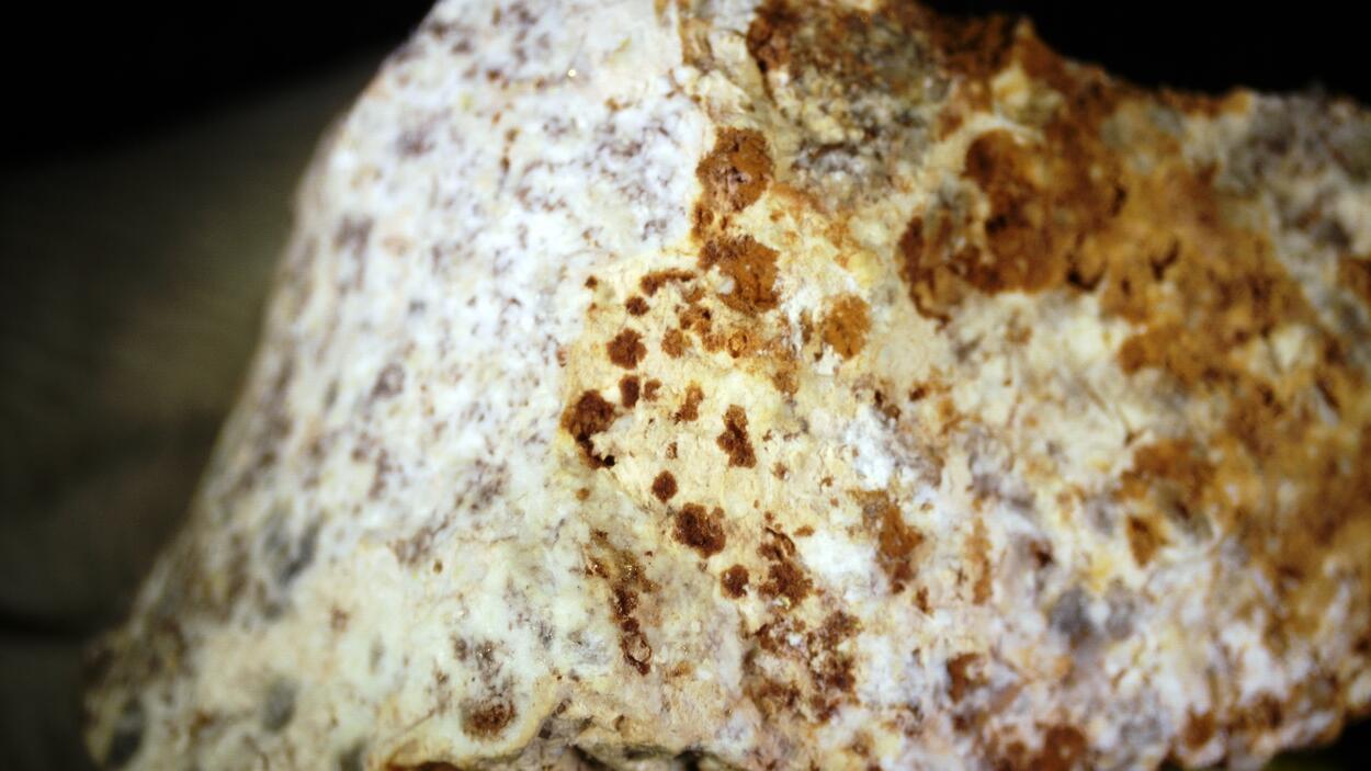 Andymcdonaldite Rodalquilarite & Gold