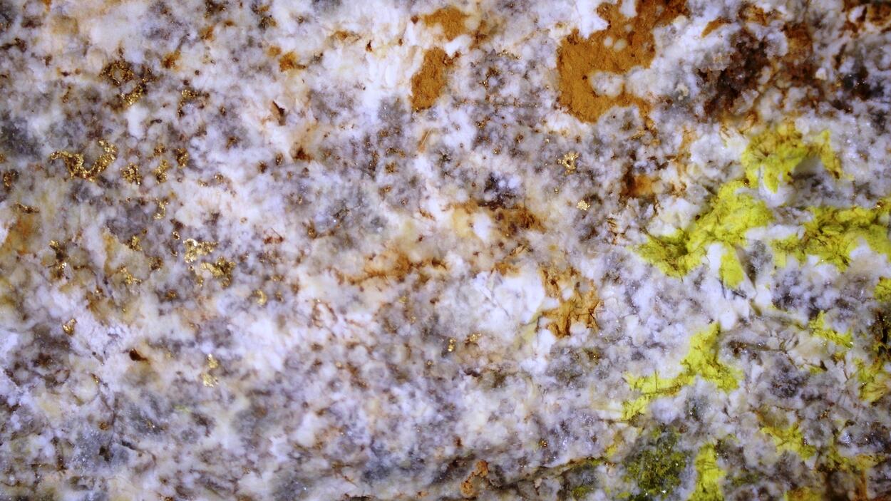 Andymcdonaldite Rodalquilarite & Gold