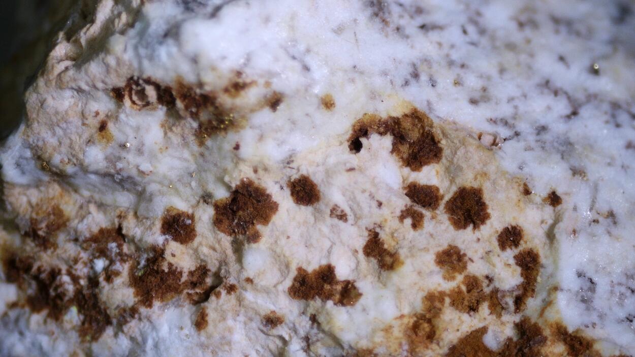 Andymcdonaldite Rodalquilarite & Gold