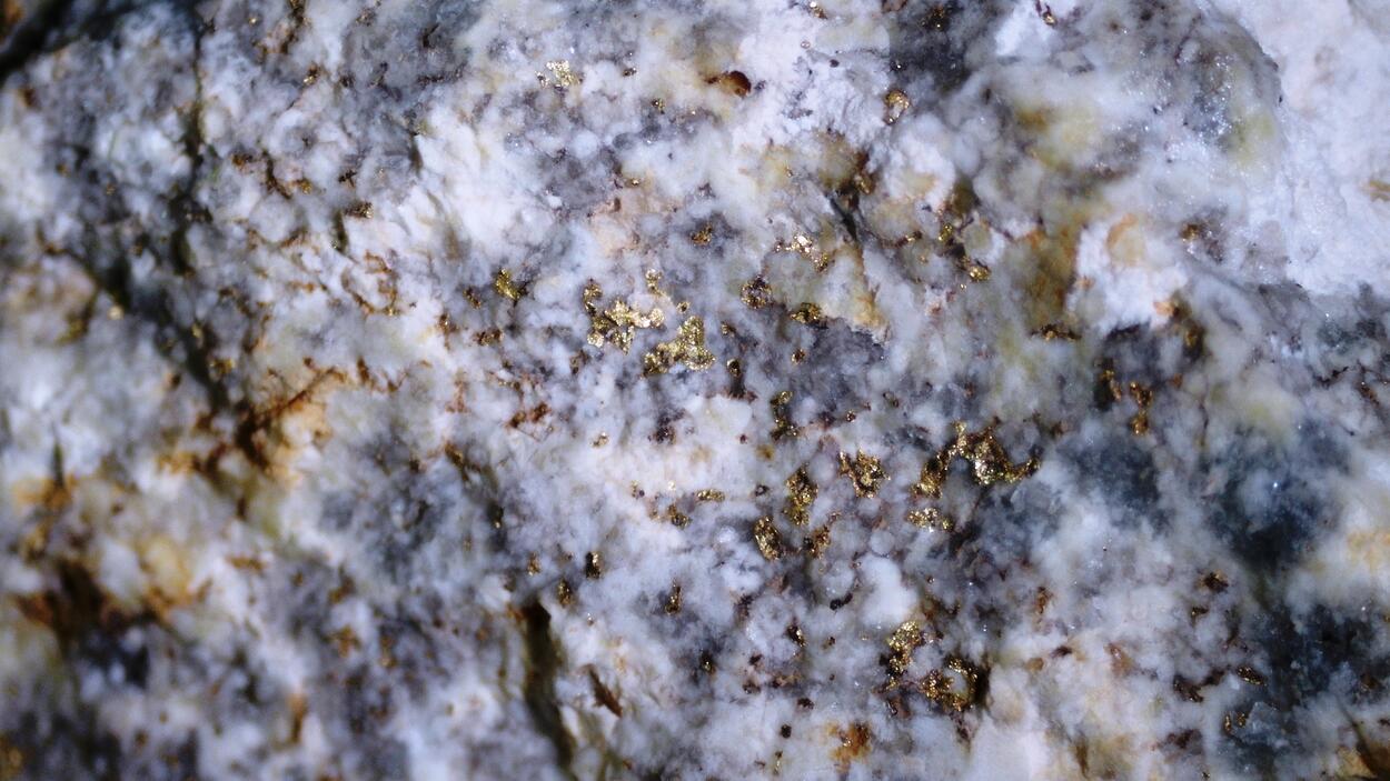 Andymcdonaldite Rodalquilarite & Gold