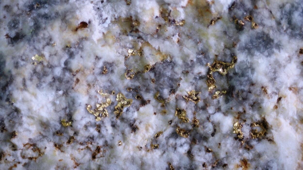 Andymcdonaldite Rodalquilarite & Gold