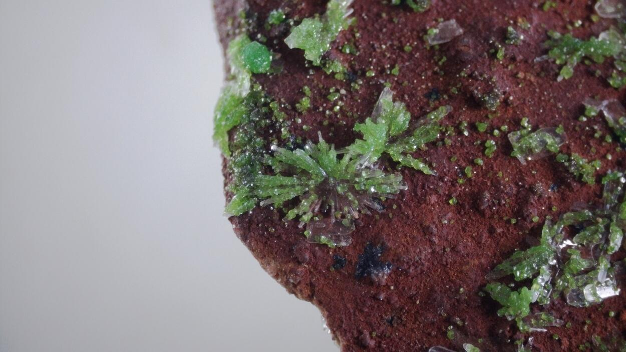 Duftite On Hemimorphite