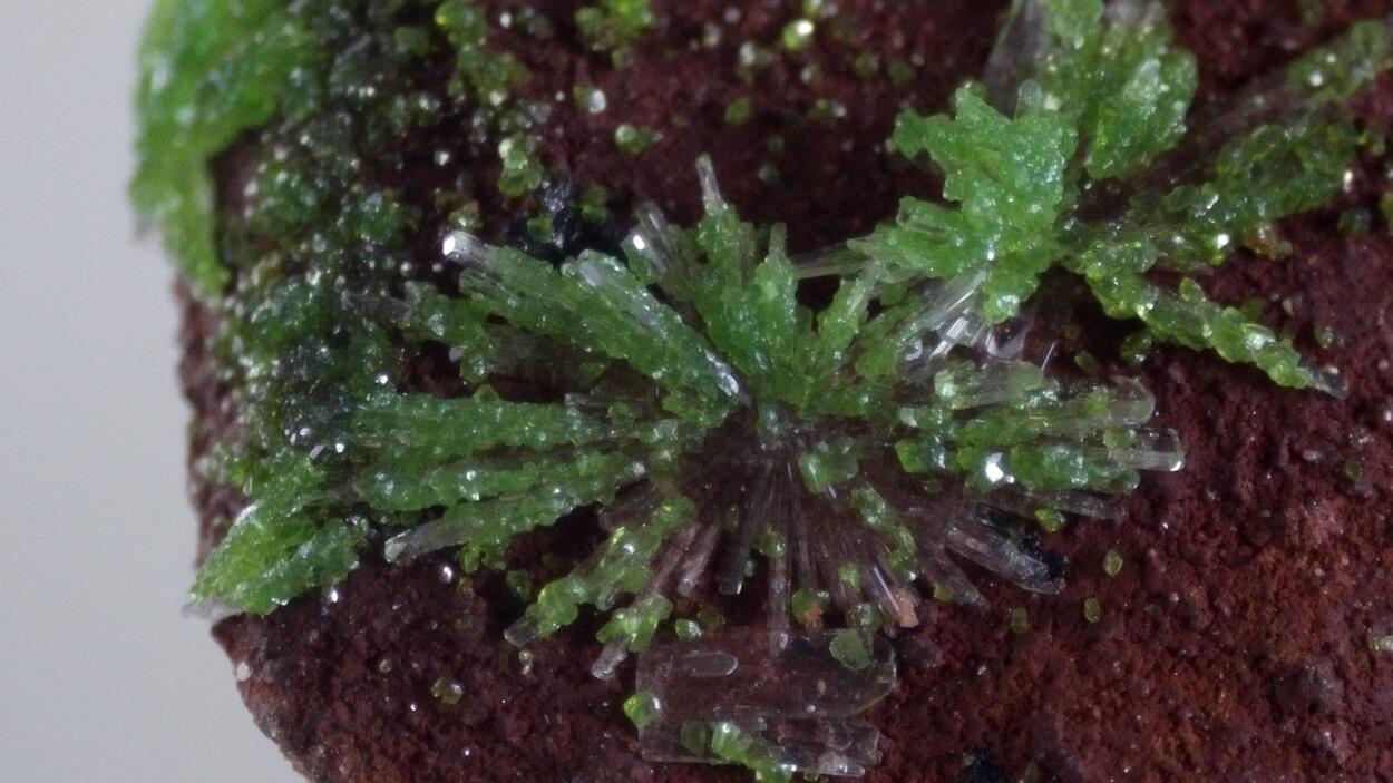 Duftite On Hemimorphite