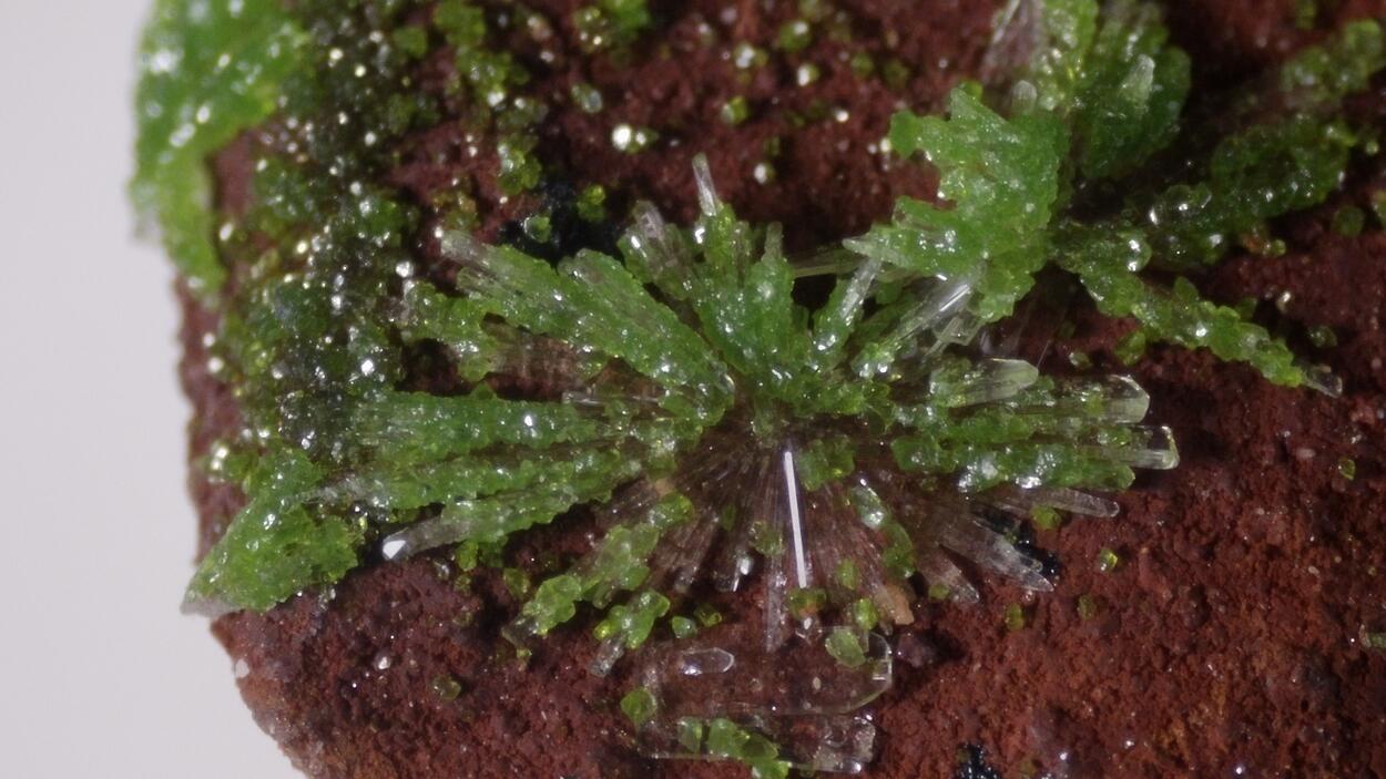 Duftite On Hemimorphite