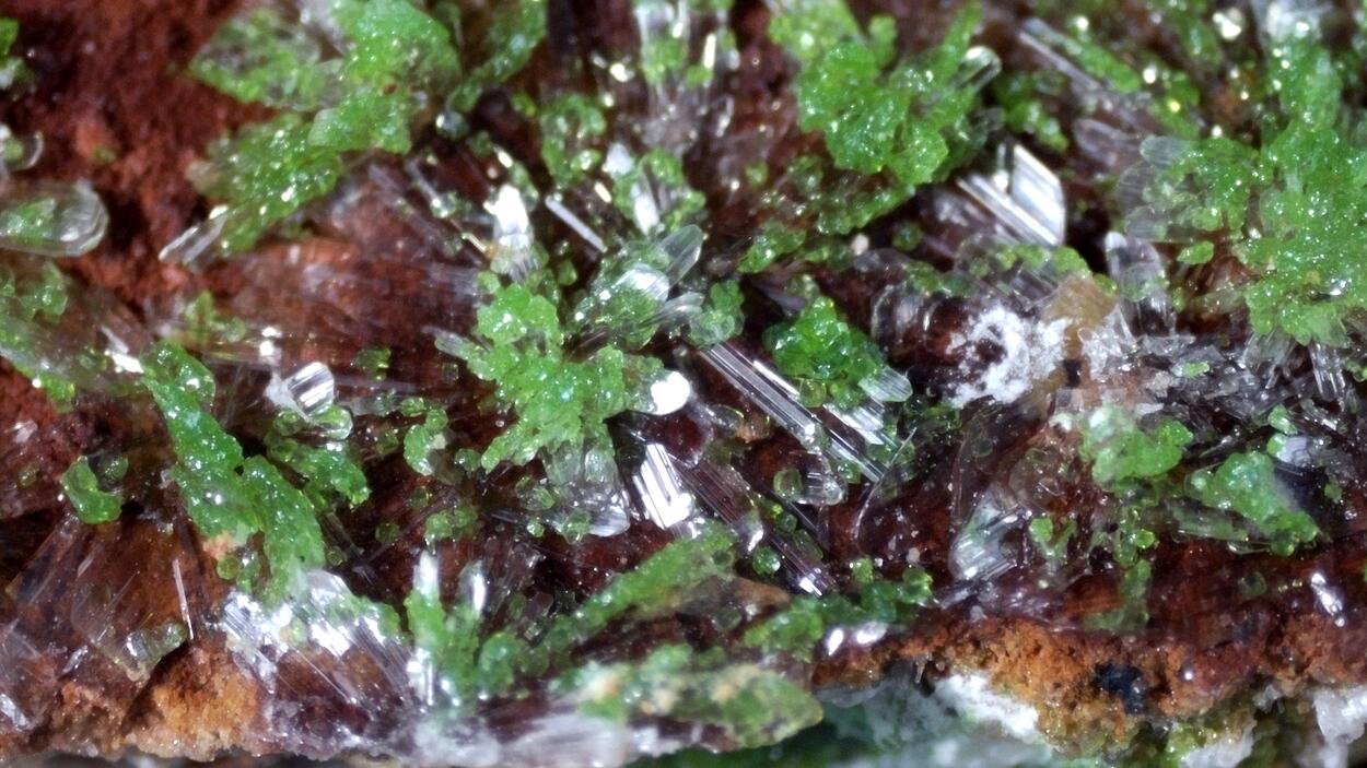 Duftite On Hemimorphite