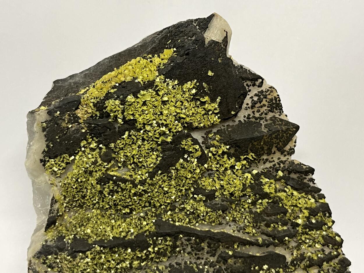 Autunite