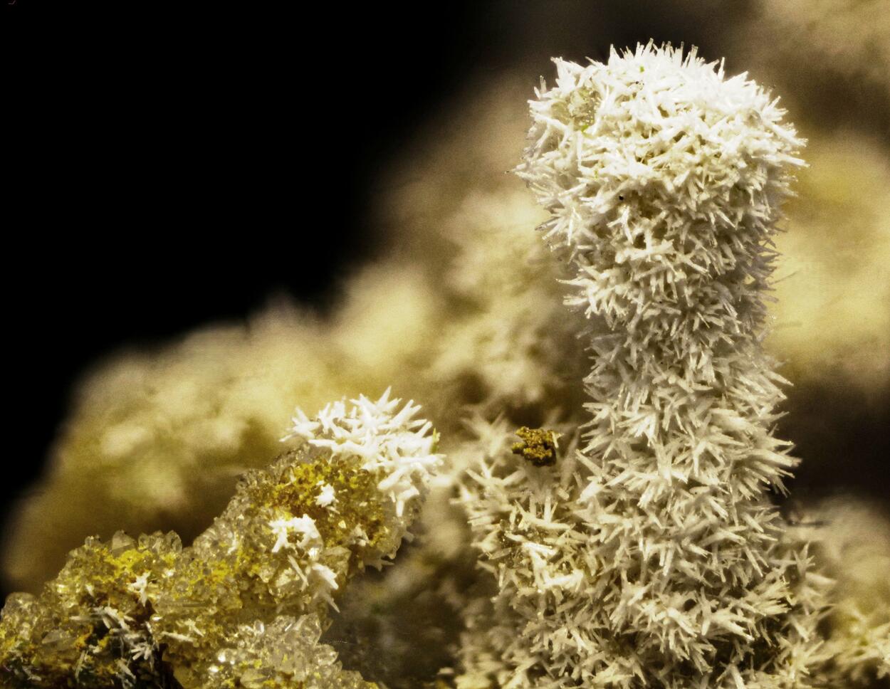 Pyromorphite & Mimetite