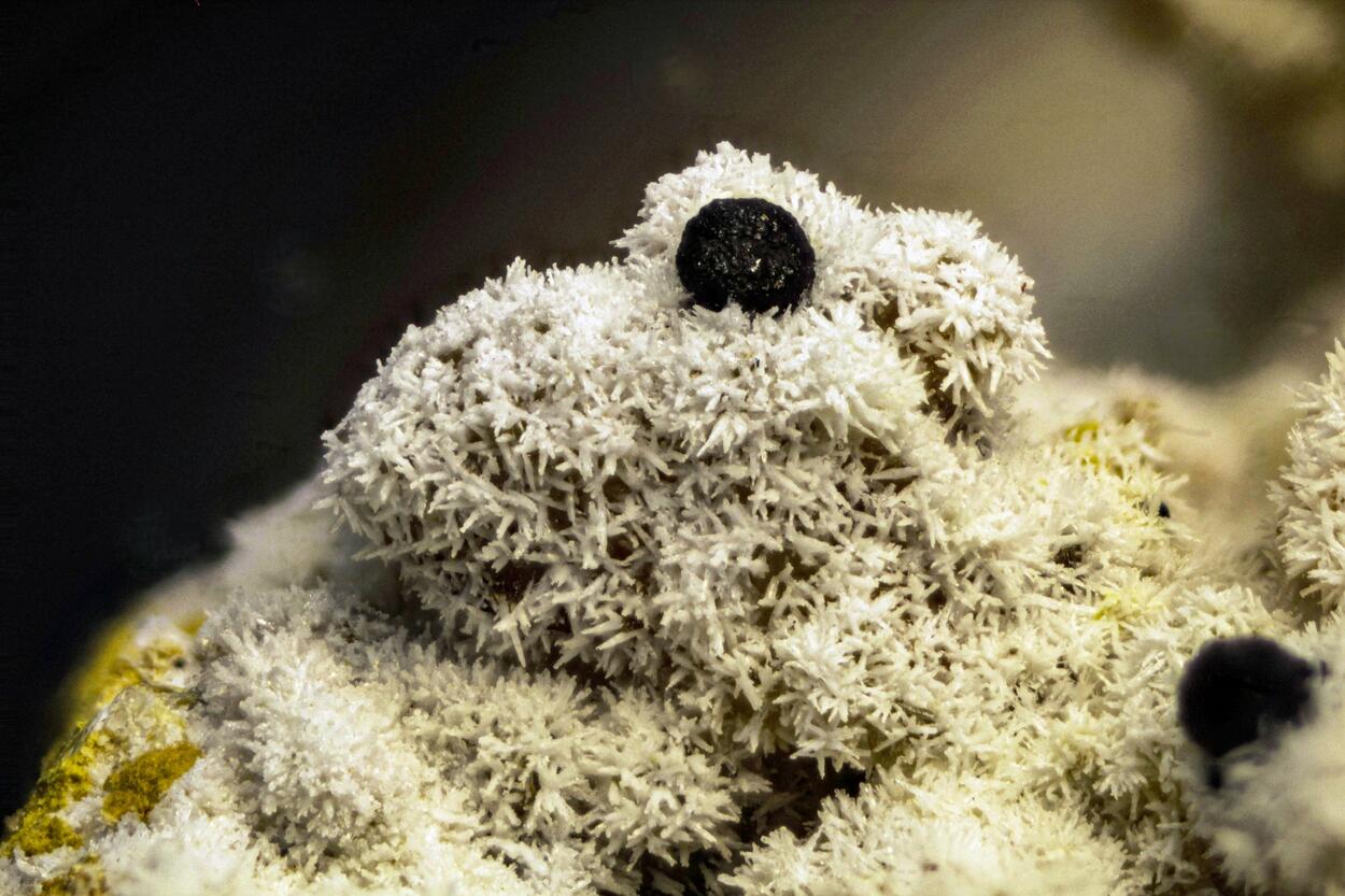 Pyromorphite & Mimetite