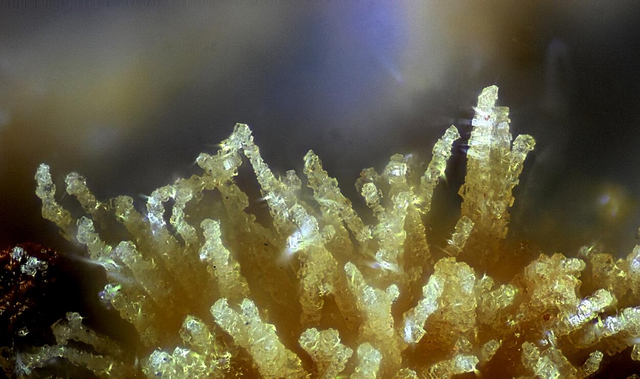 Pharmacosiderite