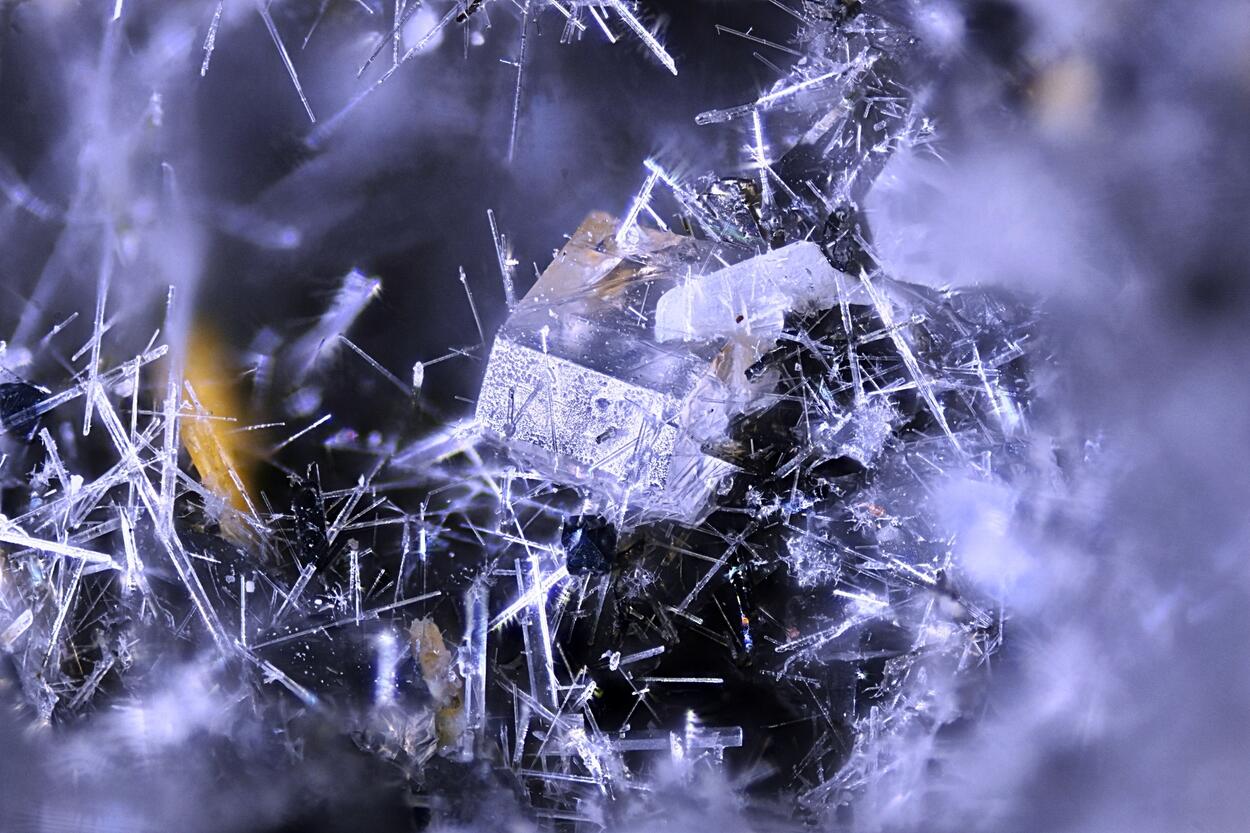 Nepheline Melilite & Hydroxylapatite