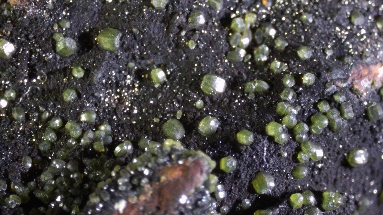 Pyromorphite & Mottramite