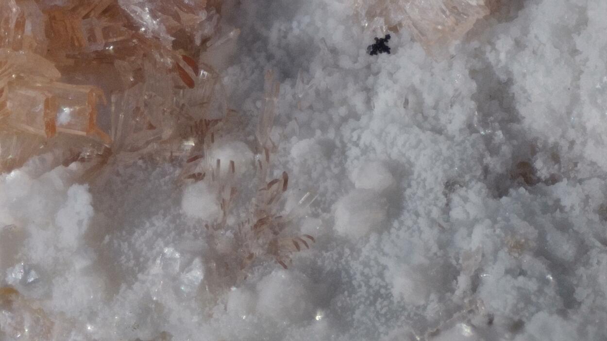 Englishite & Montgomeryite