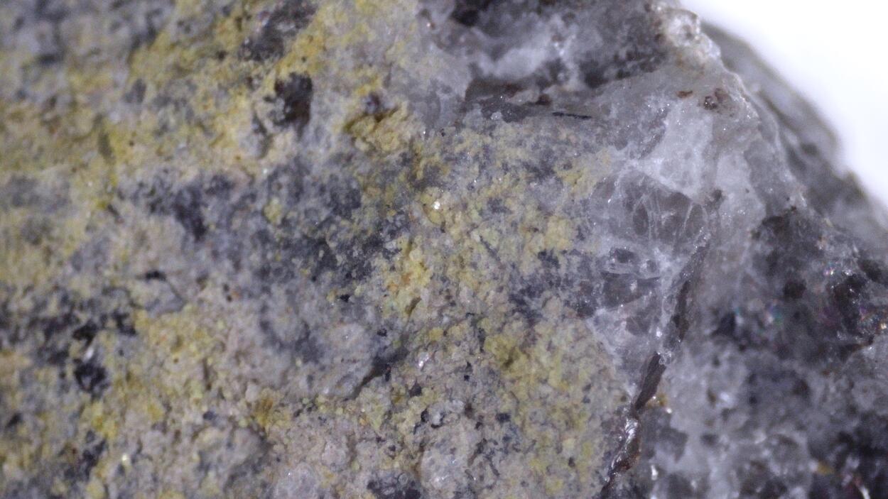 Alwilkinsite-(Y)