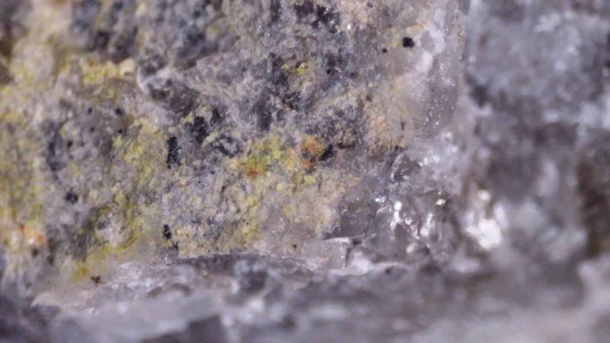 Alwilkinsite-(Y)