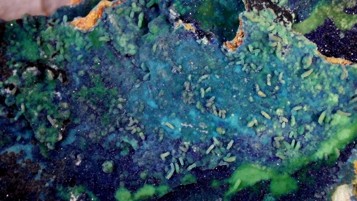 Zincolivenite Psm Wulfenite