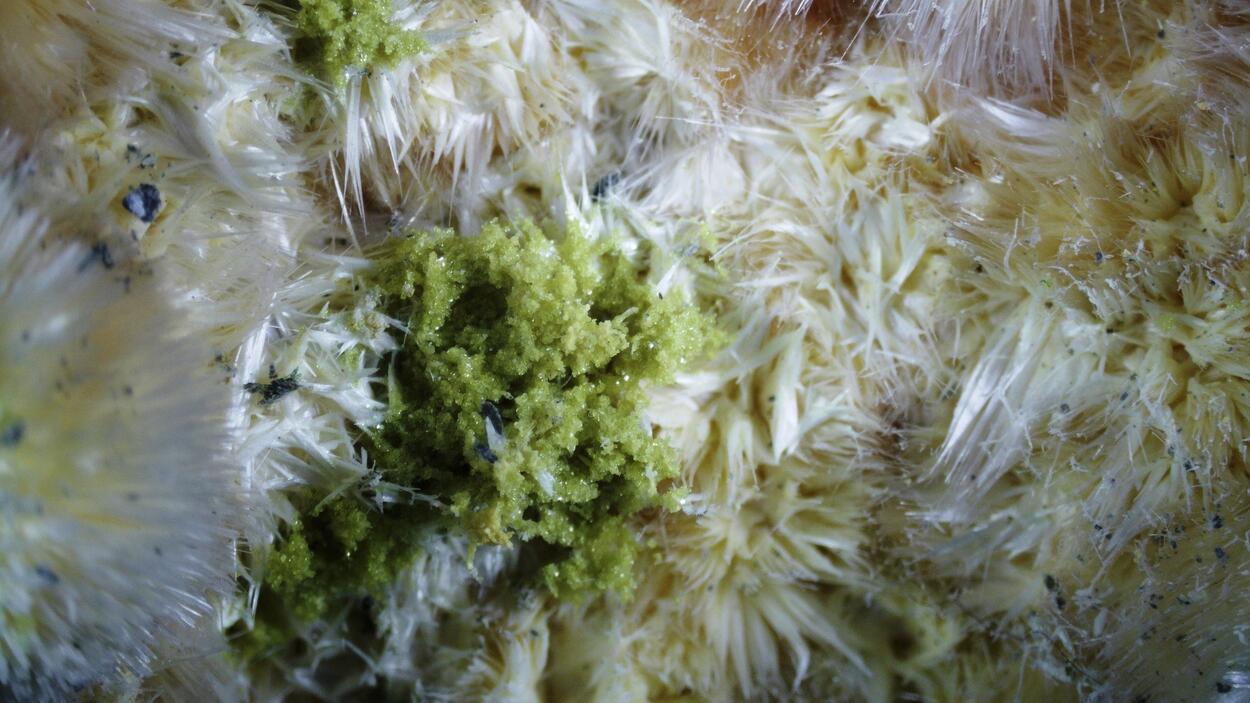 Slavíkite & Pickeringite