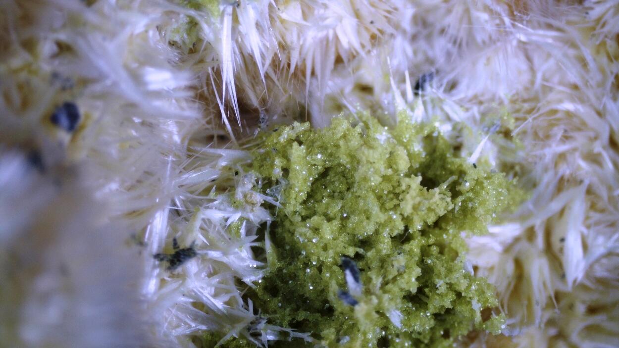 Slavíkite & Pickeringite