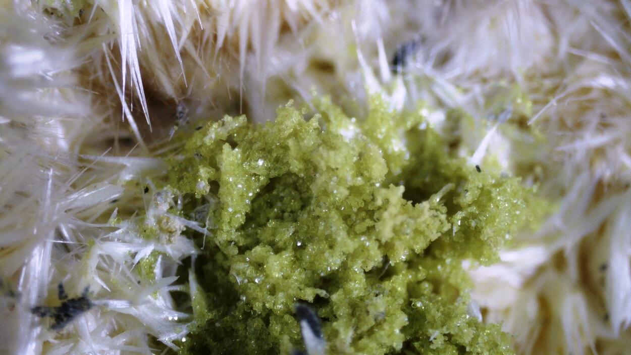 Slavíkite & Pickeringite