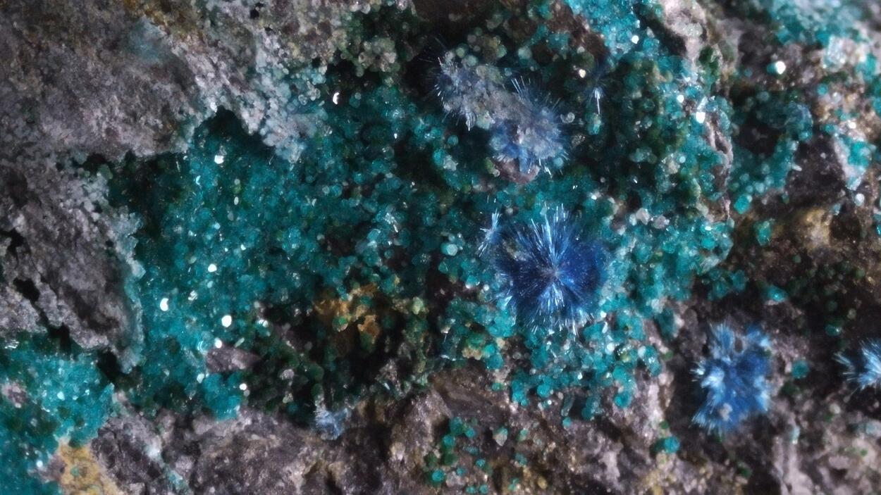 Spangolite Paratacamite & Cyanotrichite