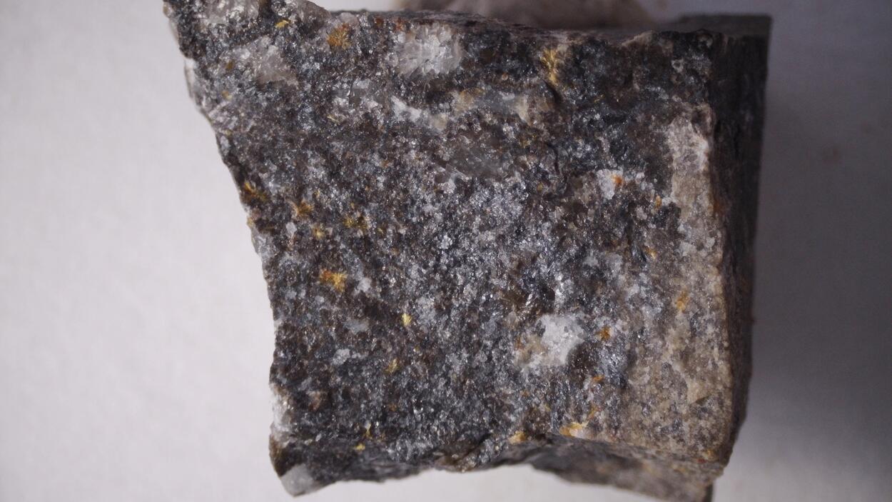 Scheuchzerite