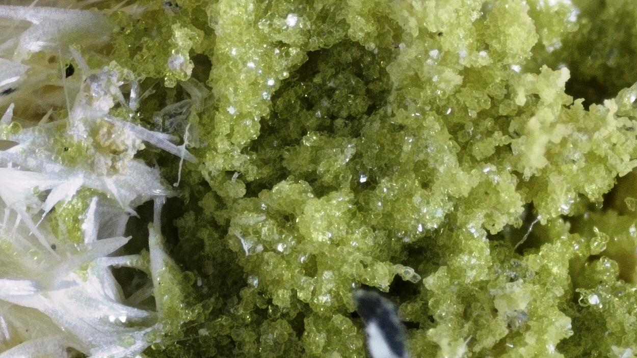 Slavíkite & Pickeringite